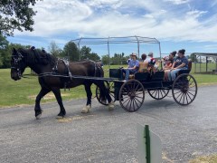 Grandparent/Grandchildren Day 2024